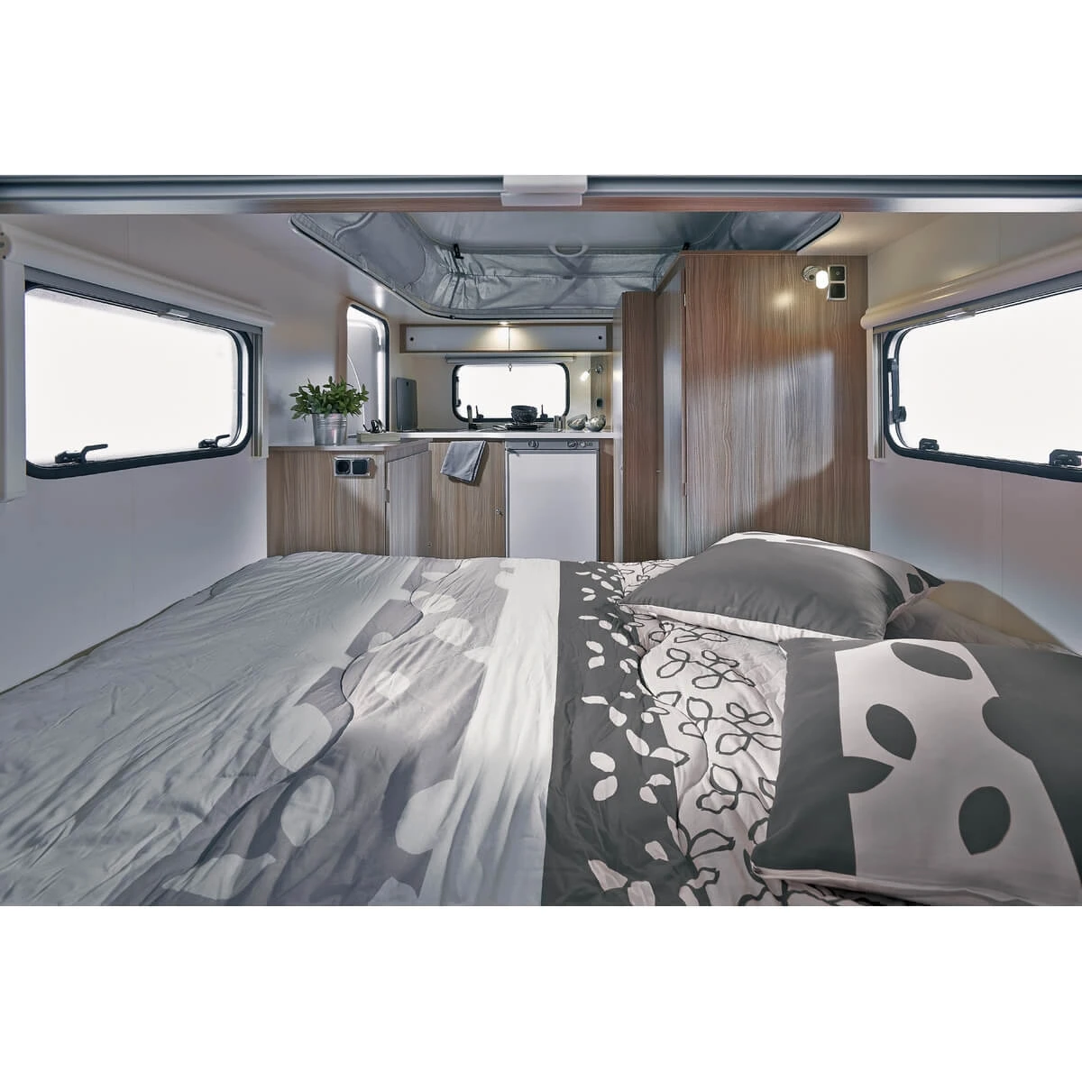 Polydon Savane – Image 2